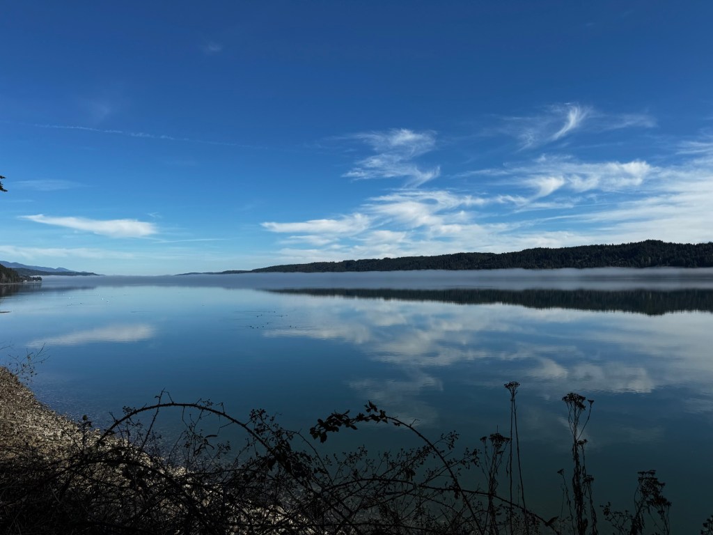 Internalized Misogyny, Mental Health, and Thunder Song: Why is my iPhone 15 Pro running out of&nbsp;storage?