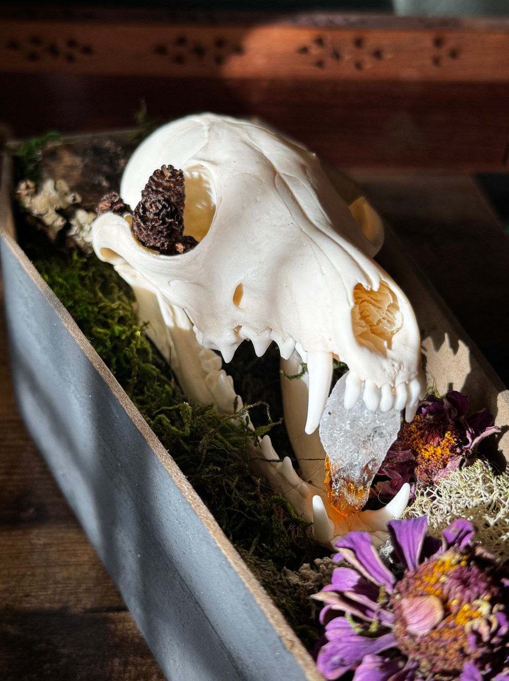 Vulture Culture: How to Make Art that Honors a Divine Responsibility?